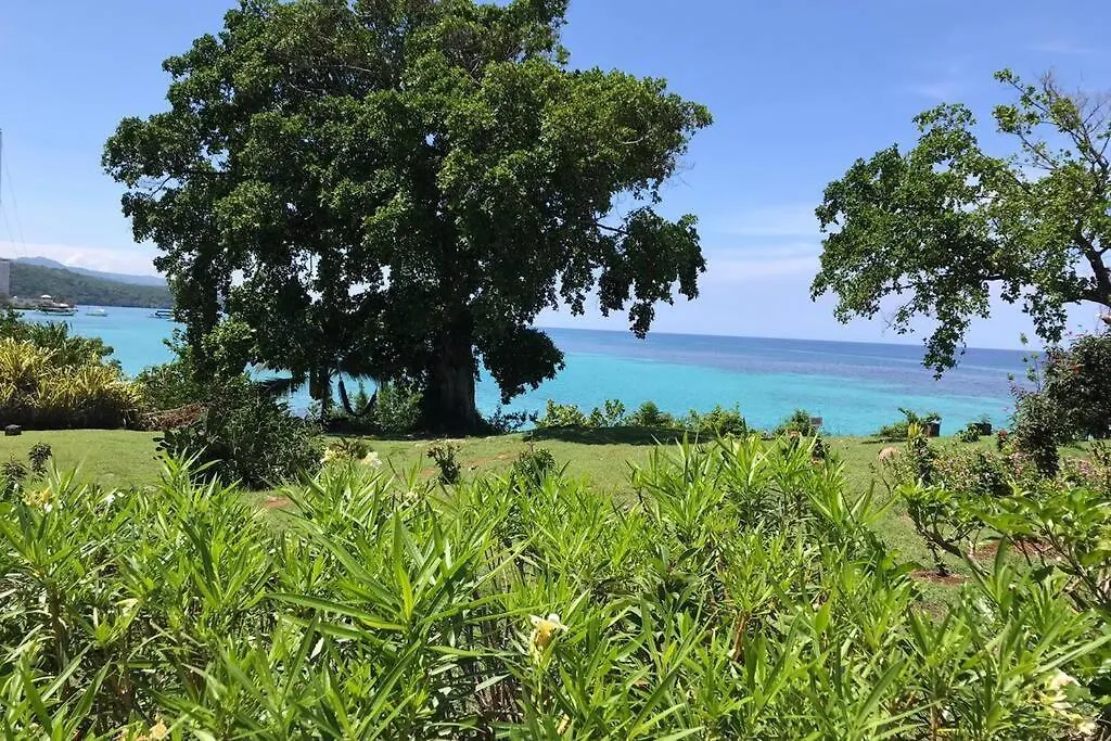 Contemporary Ocean View 2Bed Carib Ocho Rios Condo 0*,