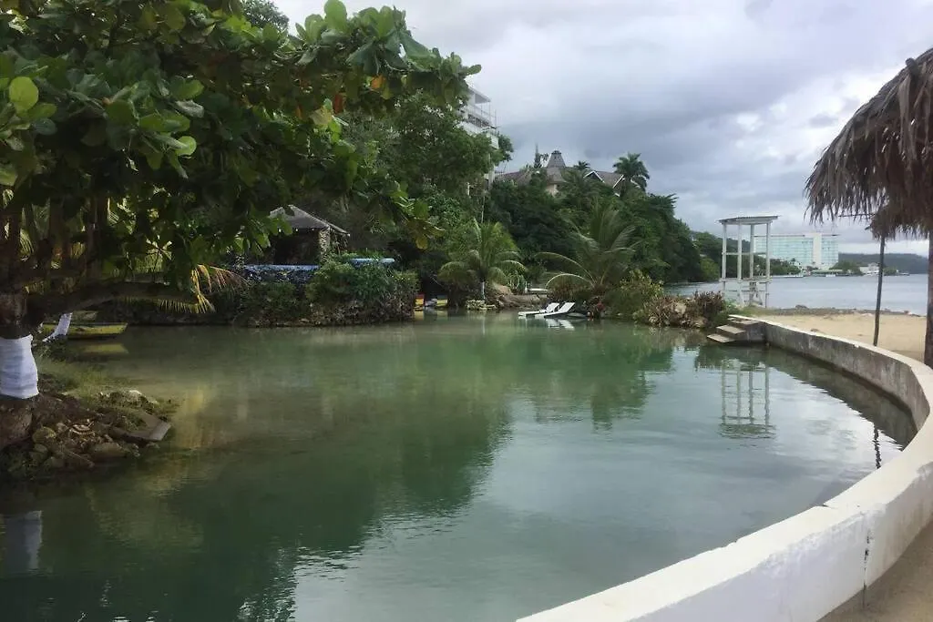 Contemporary Ocean View 2Bed Carib Ocho Rios Condo 0*,  Jamaika