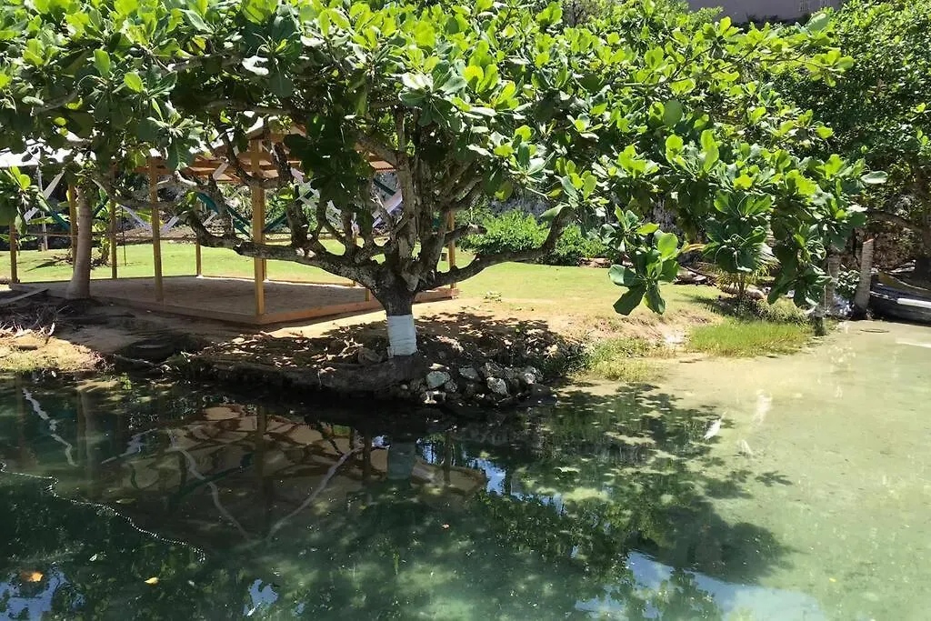 Daire Contemporary Ocean View 2Bed Carib Ocho Rios Condo Jamaika