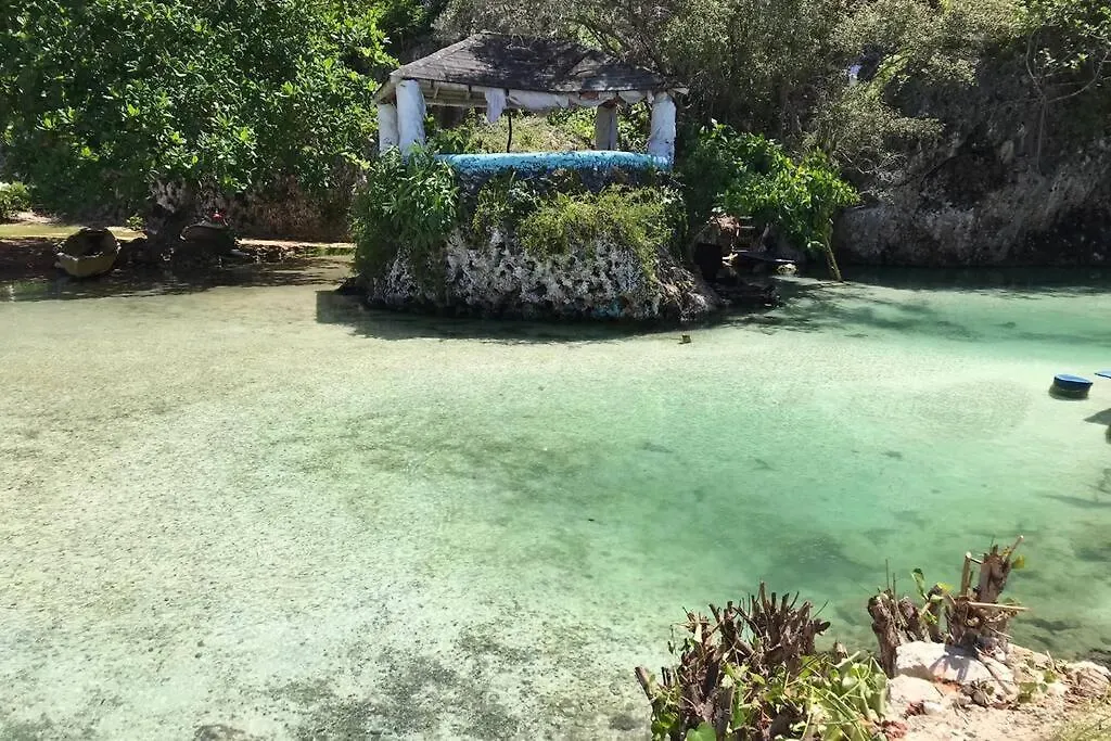 Daire Contemporary Ocean View 2Bed Carib Ocho Rios Condo